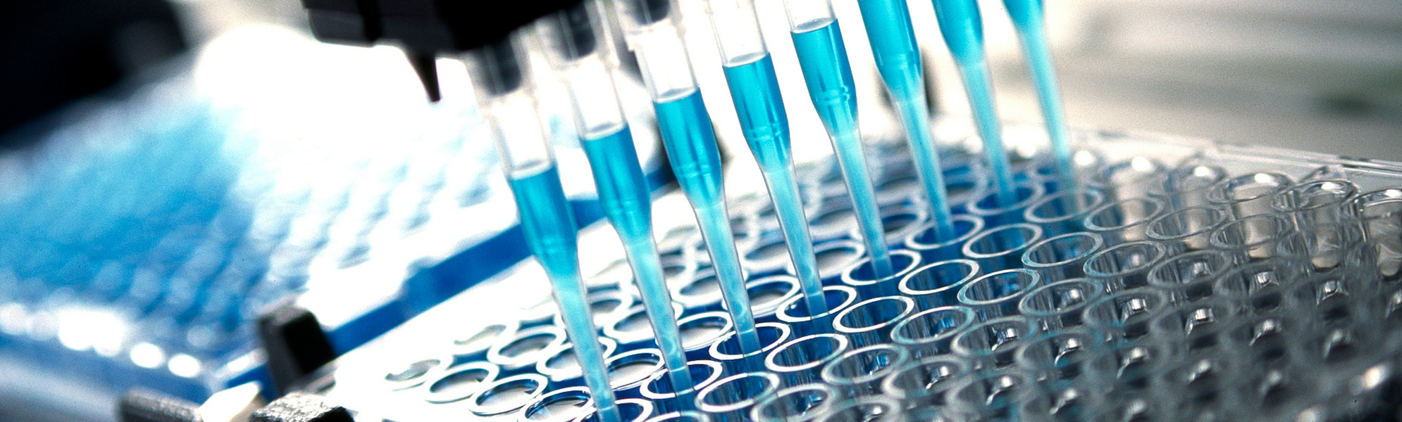 gettyimages 94098912 breit